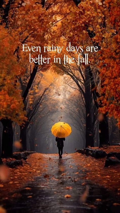 Fall Time Quotes, Rainy Day Quotes, Moose Pictures, Cozy Rainy Day, I Love Rain, Autumn Rain, Good Morning Beautiful Images, Autumn Magic, Love Rain