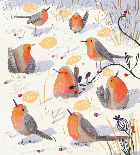 Robins on Behance Robin Drawing, Beatrice Blue, A Robin, Picture Books Illustration, Barbie Diy, Bird Illustration, Christmas Illustration, Childrens Illustrations, Illustration Artists