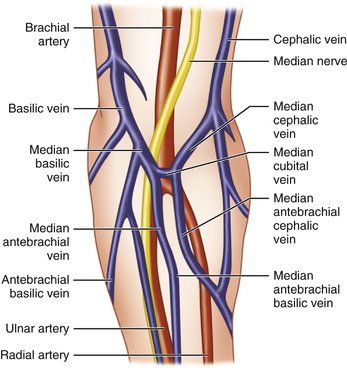 Phlebotomy Student, Phlebotomy Tips, Phlebotomy Notes, Phlebotomy Study, Blood Sport, Lab Scientist, Doppler Ultrasound, Lab Assistant, Vascular Ultrasound