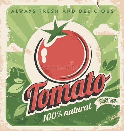 Vintage tomato poster Tomato Poster, Tomato Vector, Old Paper Texture, Tomato Farming, Promotional Banners, Food Backgrounds, Motif Vintage, Antique Paper, Old Paper