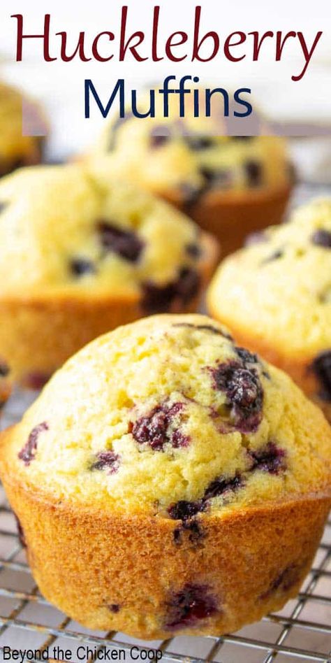 Huckleberry muffins made with wild huckleberries. These delicious muffins can be made with fresh or frozen huckleberries. #berrymuffins #huckleberries #huckleberrymuffins Huckleberry Muffins, Huckleberry Recipes, Bakery Style Blueberry Muffins, Delicious Muffins, Easy Blueberry Muffins, Best Blueberry Muffins, Grape Recipes, Lemon Blueberry Muffins, Muffin Recipes Blueberry