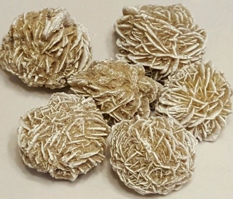 6-10 PIECES 1lb DESERT ROSE, SAND ROSE, SELENITE ROSE GYPSUM 1"-2" each Art Therapy Coloring Book, Selenite Crystals, Frozen Art, White Highlights, Selenite Crystal, Memory Scrapbook, Desert Sand, Simplicity Sewing, Mccalls Patterns