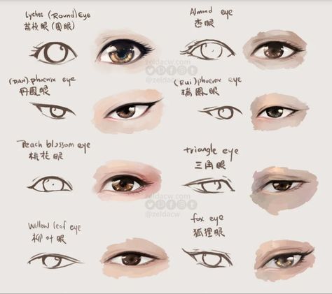 Original author- Mo Chen Huan(莫晨欢) Original publisher -jjwxc Status … #romance #Romance #amreading #books #wattpad Eye References, Eye Reference, 얼굴 드로잉, Eye Drawing Tutorials, Eye Sketch, Drawing Eye, Types Of Eyes, Drawings Tutorials, Asian Eyes