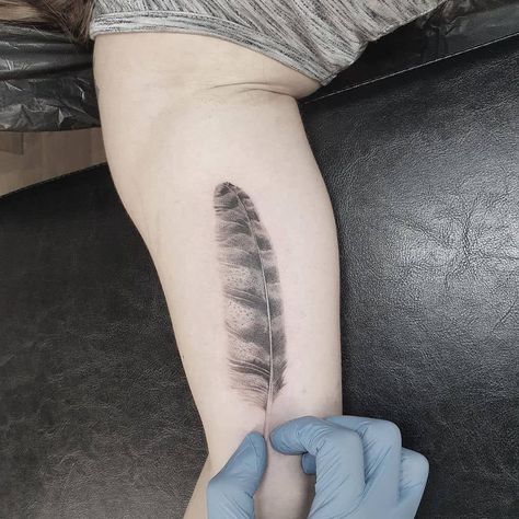 Owl Feather Tattoo 1 Quil Tattoos, Feather Tattoo Realistic, Feather Bicep Tattoo, Osprey Feather Tattoo, Realism Feather Tattoo, Owl Feather Tattoo Design, Chicken Feather Tattoo, Red Tail Hawk Feather Tattoo, Turkey Feather Tattoo For Women