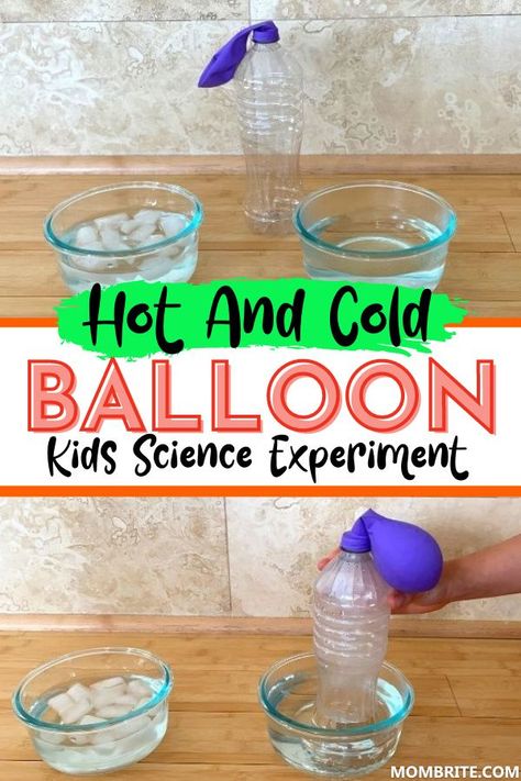 Kids Science Experiment, Balloon Science Experiments, Science Experiments Kids Preschool, Science Experiments Kids Elementary, Science Experiments Kids Easy, Science Experiment For Kids, Preschool Activities Printable, Science For Toddlers, Experiment For Kids