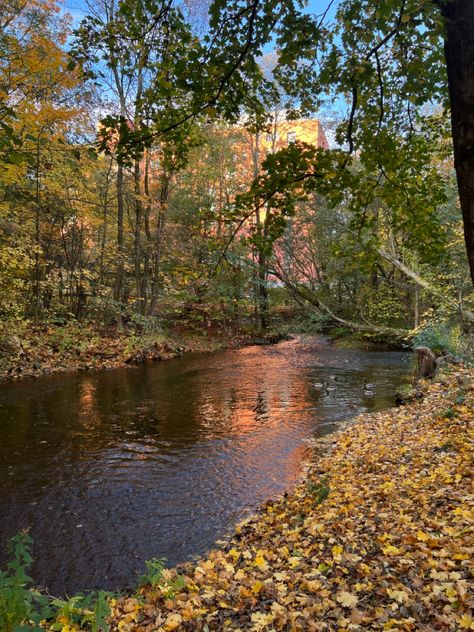 Fall In Norway, Oslo Autumn, Norway Autumn, Moving Inspiration, River Falls, Dream Places, Oslo Norway, Autumn Aesthetic, Fall 2024