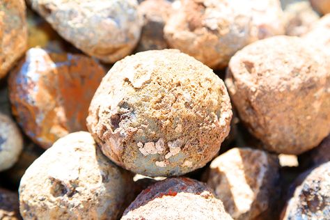 Geodes - Where can you find geodes? - DesertUSA Geode Hunting, Sedimentary Rock Formation, Rock Collecting, Geode Rocks, Rock Hunting, Sedimentary Rocks, Rock Collection, Rock Hounding, Medicinal Plants