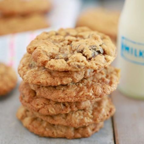 Best-Ever Oatmeal Cookies Recipe - Gemma’s Bigger Bolder Baking Butterfinger Cookies, Best Oatmeal Cookies, Coconut Oatmeal, Bigger Bolder Baking, Cake Mug, Desserts Vegan, Oat Cookies, Oatmeal Cookie Recipes, Best Oatmeal