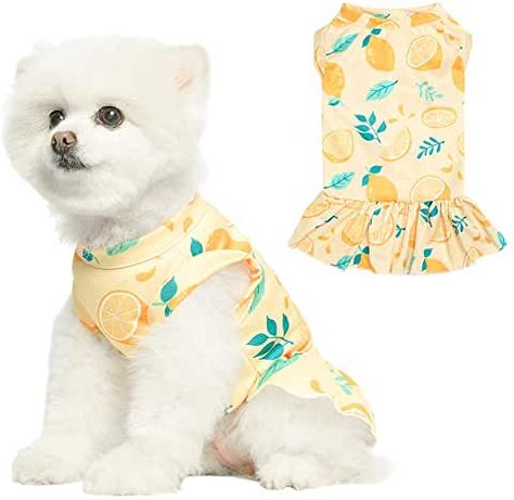 Amazon.com: big dog clothes for the summer - International Shipping Eligible Golden Retriever Puppy Clothes, Cute Dog Clothes For Females, Big Dog Clothes, Pink Dog Outfits, Dog Summer Clothes, Girl Dog Clothes, Summertime Outfits, Summer Dog, Puppy Clothes