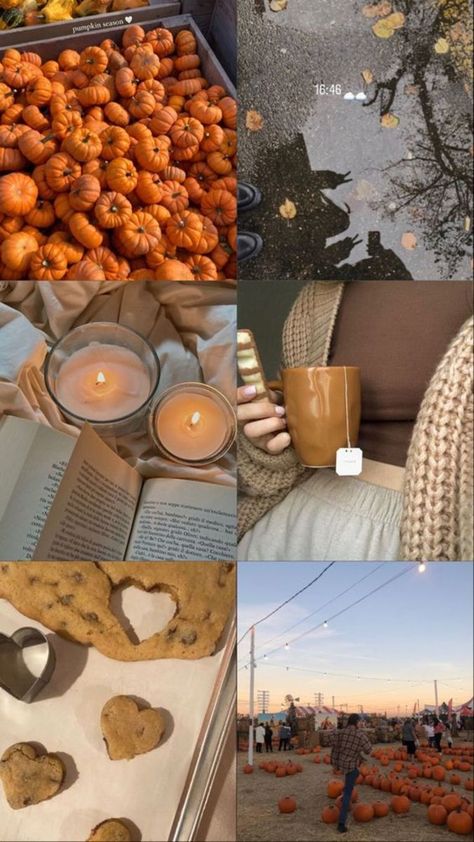 Fall Vibes Cozy Wallpaper, Neutral Halloween Decor, Fall Aesthetic Pictures, Neutral Halloween, Soirée Halloween, Herbst Bucket List, Fall Boards, Fall Mood Board, Autumn Magic