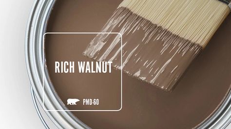 Rich Walnut PMD-60 | Behr Paint Colors Brown Kitchen Paint Colors, Behr Color Pallets, Bear Brown Paint Colors, Soft Brown Paint Colors, Brown Paint Colors Behr, Behr Dark Brown Paint Colors, Medium Brown Paint Colors, Brown Behr Paint Colors, Behr Paint Colors Brown