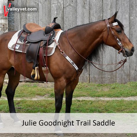 New saddle thoughtfully crafted and available exclusively to Valley Vet Supply customers. Western Horse Riding, Horseback Riding Tips, Ranch Riding, Western Horse Saddles, Horse Care Tips, Saddle Fitting, Western Saddles, Horse Riding Tips, Horse Colors