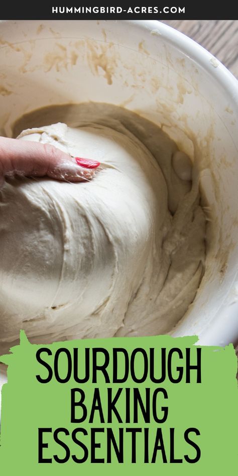 Curious about what you really need for sourdough baking? This list of essentials covers everything, from starter jars to bannetons! Baking Essentials Tools, Healthy Starters, Recipe Using Sourdough Starter, Sourdough Pizza Crust, Sourdough Bread Starter, Enamel Dutch Oven, Proofing Baskets, Pizza Flavors, Baking Stone