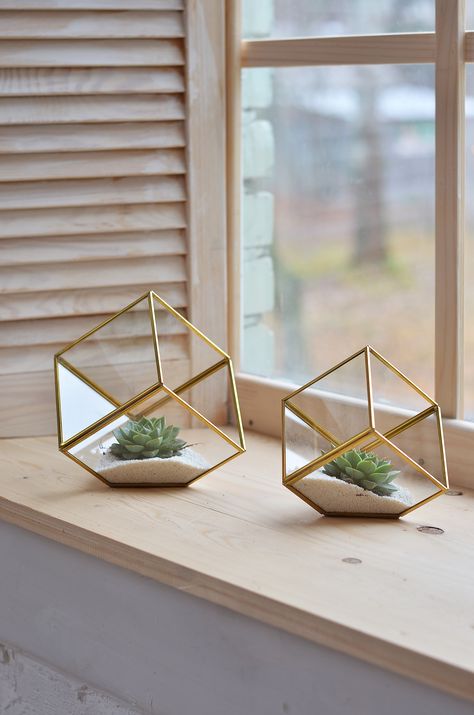 Gold Terrarium, Crystal Terrarium, Terrarium Succulent, Terrarium Centerpiece, Plant Display Ideas, Terrarium Wedding, Plant Terrarium, Terrarium Containers, Air Plant Terrarium