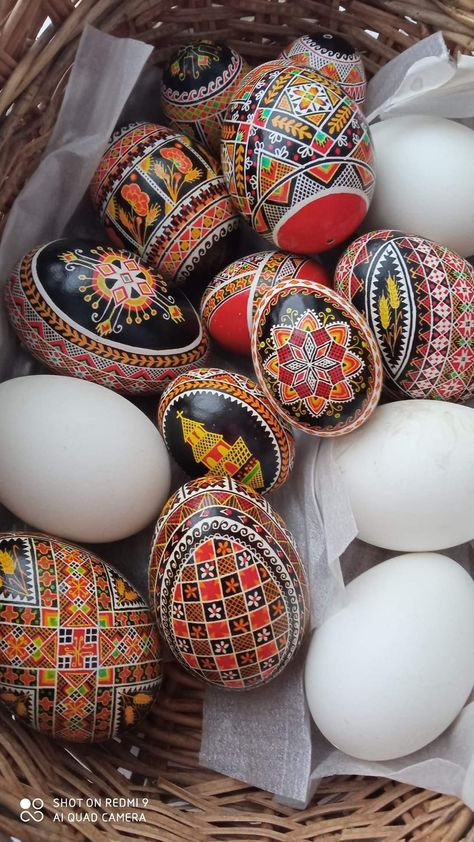 Ukranian Eggs, Polish Pisanki Eggs, Christmas Ukrainian Eggs, Ukranian Eggs Design, Pysanky Eggs Pattern Ukraine, Ukranian Easter Eggs, Pysanky Eggs Pattern, Pysanky Eggs, Ukrainian Easter Eggs