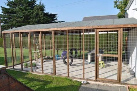 Cattery Ideas, Outside Cat Enclosure, Cat Habitat, Luxury Dog Kennels, Cat House Plans, Outdoor Pet Enclosure, Catio Ideas, Cat Fence, Cat Enclosures