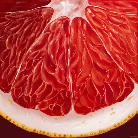 Grapefruit Photography, Grapefruit Illustration, Grapefruit Painting, Natural Form Art, Art Final, Ruby Red Grapefruit, Paint Illustration, Diy Rock Art, Watercolor Fruit