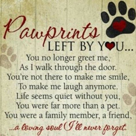 Pawprints left by you..... Pawprints Left By You, Dog Heaven Quotes, Pet Poems, Pet Memorial Plaque, Miss My Dog, Dog Poems, Dog Quotes Love, Dog Heaven, Collage Frame