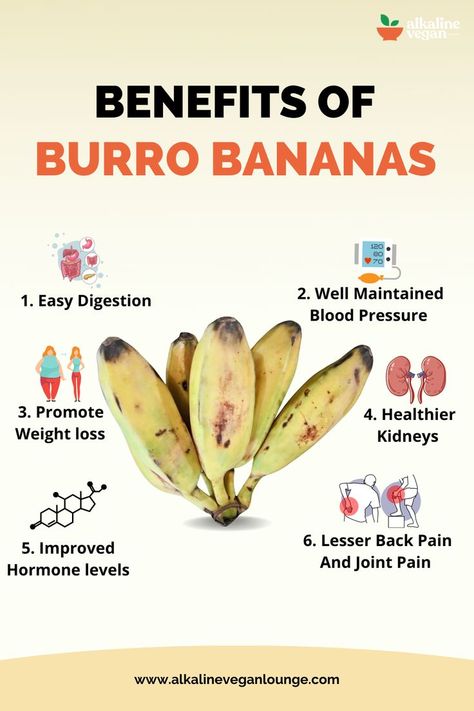 Benefits Of Burro Bananas Burro Banana, Vegan Benefits, Banana Health Benefits, Banana Diet, Myths And Facts, Banana Benefits, Health Facts Food, Kidney Friendly, Sustainable Seafood