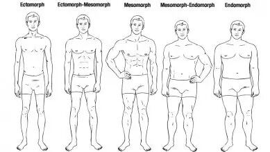 Type of male body Ectomorph Men, Best Jeans For Men, Mens Body Types, Human Anatomy Reference, Makeup Decor, Body Type Drawing, The Best Jeans, Mens Journal, Body Reference Drawing