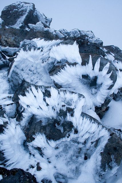 I have no armour left -I just love how you can't make anything out in this picture. It's feathery, it's sharp, it's dark, and it's light. Nature Winter, Dragon Age Inquisition, Hakone, Ice Crystals, Sanya, Winter Beauty, Snow And Ice, Ice Queen, Fire And Ice