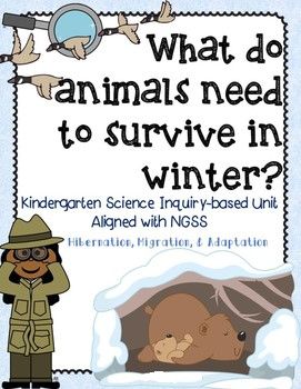 Hibernation Migration Adaptation, Winter Animals Kindergarten, Hibernation Preschool Activities, Animals Kindergarten, Hibernation Preschool, Hibernation Activities, Kindergarten Inquiry, Winter Unit, Winter Activities Preschool