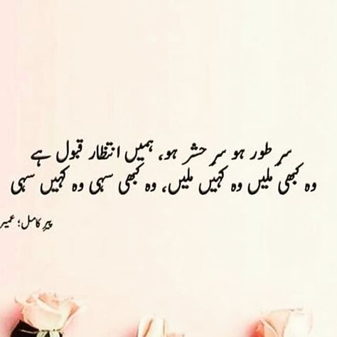 Peer E Kamil Quotes In Urdu, Peer Kamil Quotes, Peer E Kamil Quotes, Peer E Kamil Aesthetic, Peer E Kamil Novel Lines, Peer E Kamil, Dope Captions, Lost Myself Quotes, Fav Poetry