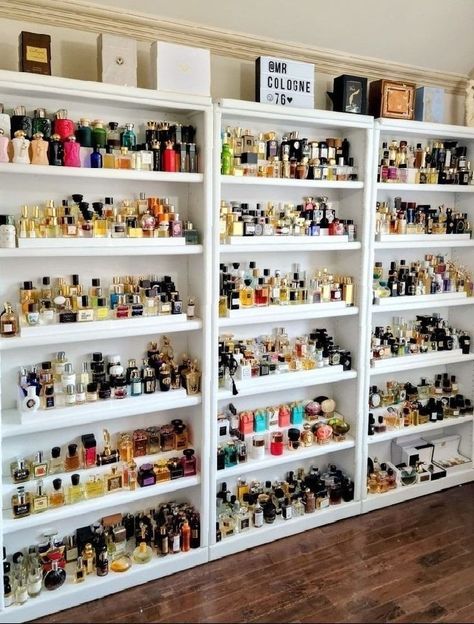 Perfume Collection Display, Fragrance Storage, Perfume Storage, Retail Store Interior Design, Dream Closet Design, Perfume Display, Good Photo Editing Apps, Perfume Organization, Perfume Collection Fragrance