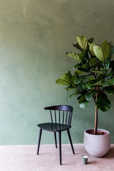 Chickweed Limewash Green Bedroom, Lime Wash Green Wall, Lime Green Room Ideas, Limewash Green Wall, Green Lime Wash Wall, Green Limewash Paint, Green Limewash Wall, Green Lime Wash, Green Limewash