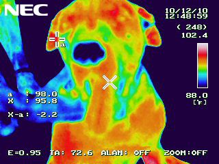 Thermal Pictures, Thermal Aesthetic, Snowy Beach, Thermal Vision, Thermal Image, Thermal Camera, Body Scan, Space Grunge, Thermal Imaging Camera