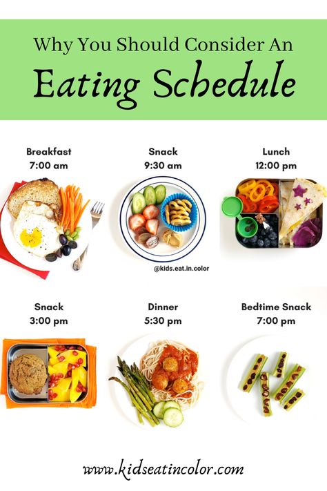 I strongly recommend that parents provide a meal schedule or routine and decide when their kids will eat. ⁠⠀ ⁠⠀ When kids eat a lot of times throughout the day, it increases their risk of cavities and can lead to them either eating too much or not enough for their body. It makes it harder for them to listen to when they are hungry and full. Eating on a schedule though, leads to better eating and less picky eating!  ⁠⠀ Want more deets about eating schedules? I wrote all about it on my blog. Healthy Daily Meals, Meal Schedule, Diet Schedule, Motivasi Diet, Eating Schedule, Daily Meal Plan, Picky Eating, Kids Meal Plan, Makanan Diet