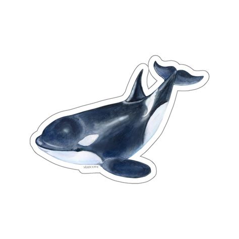 Orca stickers: waterproof vinyl decals for laptop, waterbottle, tumbler, car bumper, etc. #orca #stickers . #Killer_Whales #Orca_Art #Computer_Sticker #Iphone_Case_Stickers Orca Art, Sticker Design Inspiration, Cute Whales, Iphone Case Stickers, Computer Sticker, Cute Shark, Killer Whale, Killer Whales, Animal Stickers