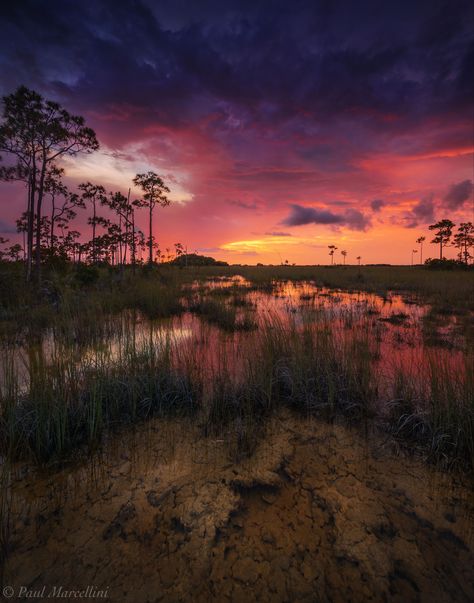 Color over the Flood Everglades National Park The Everglades, Everglades Florida, Everglades National Park, Cool Landscapes, Landscape Photographers, Key West, Sunrise Sunset, Beautiful World, Wonders Of The World