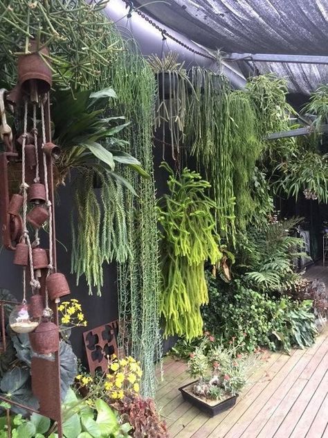 38 Stunning Ideas to Turn Your Boring Garden into a Cool Tropical Garden - 306 Fernery Ideas, Small Tropical Gardens, Tropical Greenhouses, Tropical Landscape Design, Tropical Garden Design, Small Courtyard Gardens, Jungle Gardens, Small Patio Garden, Vertical Garden Wall