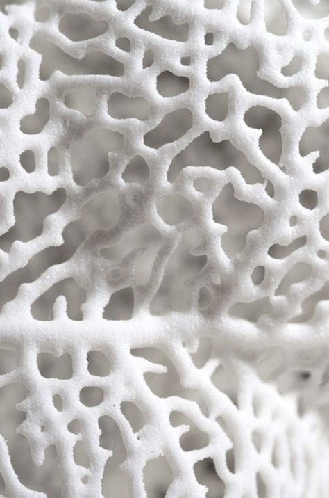 * White Sculpture, Foto Macro, 심플한 그림, Look Wallpaper, Textil Design, Texture Inspiration, Nature Artwork, Organic Forms, 3d Texture