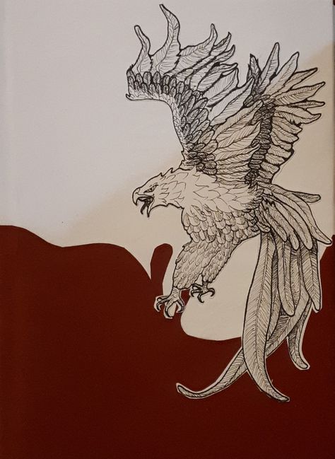 My polish note ^^ also my first drawing of bird ever.  #husaria #poland #red #white #eagle #bird #myth #mythology #art #drawing #handdrawing Mythology Art Drawing, Independence Day Drawing, Polish Eagle, Eagle Drawing, White Eagle, First Drawing, Eagle Bird, Eagle Art, Mythology Art