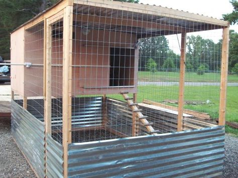 Ideal coop for chickens Reban Ayam, Coop Door, Backyard Coop, Backyard Chicken Coop Plans, Diy Chicken Coop Plans, Chicken Coop Run, Coop Ideas, Chicken Run, Chicken Coop Designs