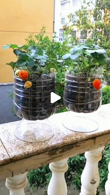 Garden Ideas With Plastic Bottles, Plastic Container Crafts, Plastic Bottle Planter, Story Post, Bottle Garden, Plastic Flower Pots, Barbie Kitchen, Balloon Flowers, Diy Kitchen Cabinets