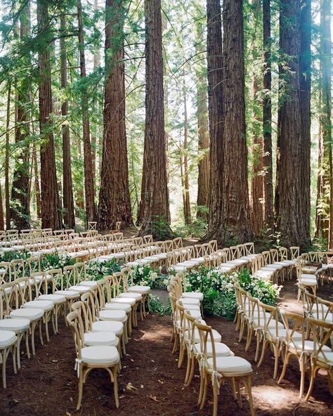 w e r k • Instagram Outdoor Wedding Seating, Woodland Wedding Ceremony, Forest Wedding Ceremony, Twilight Wedding, Wedding Ceremony Ideas, Boho Outdoor, Beautiful Outdoor Wedding, Best Wedding Venues, Wedding Goals