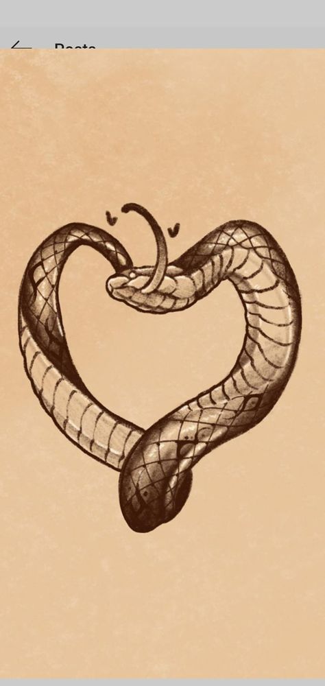 Snake And Heart Drawing, Heart Shaped Snake Tattoo, Bull Snake Tattoo, Snake Heart Drawing, Snake Crown Tattoo, Snake Heart Tattoo Design, Snake Heart Tattoo, Tattoo Cobra, Snake Outline