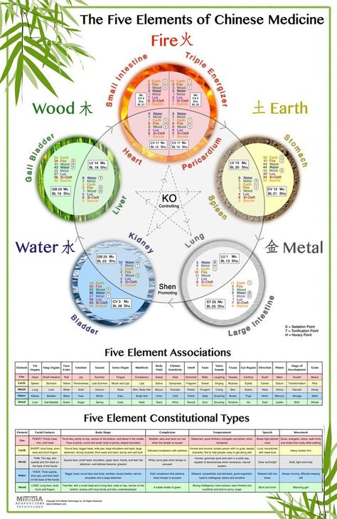 Chinese Healing, Acupuncture Points Chart, Tcm Traditional Chinese Medicine, Element Chart, Medicine Garden, Sahaja Yoga, The Five Elements, Eastern Medicine, Chinese Herbal Medicine