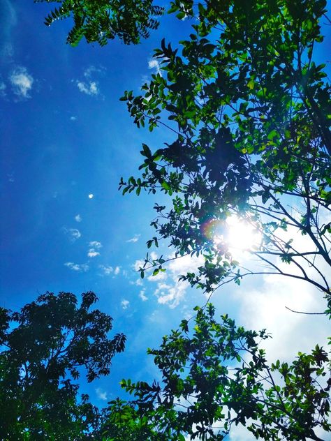 Bluish. Greenery. Sunny Day. Photo taken by @_piyali_piu_ 3 Pm Aesthetic, Midday Aesthetic Wallpaper, 3pm Aesthetic, Sunny Day Instagram Story, Sunny Sky Photography, Sunny Aesthetic Sky, Tasha Aesthetic, Bright Sunny Day Aesthetic, Noon Sky Aesthetic