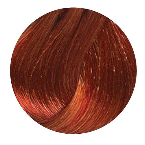 Amazon.com: L'oreal Excellence Hicolor, Copper Highlights, 1.2 ounce: Beauty Loreal Hi Color Sizzling Copper, Hicolor Highlights Copper, Hicolor Copper, Copper Color Hair, Loreal Hicolor, Copper Hair Dye, Crunchy Hair, Ammonia Free Hair Color, Red Copper Hair Color