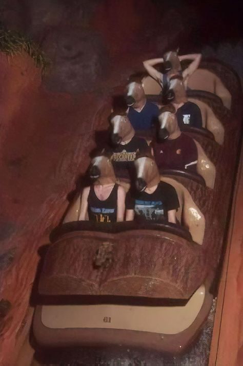 My Friends And I Went All Out On Splash Mountain Funny Poses, 밈 유머, Splash Mountain, Roller Coasters, 웃긴 사진, Friend Photoshoot, Disney Funny, Teenage Dream, Amusement Park