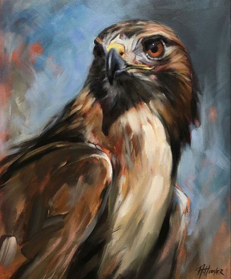 Aimée Rolin Hoover Contemporary Wildlife Art, Animal Paintings Acrylic, Pencil Portrait Drawing, Extreme Close Up, Red Tailed Hawk, Wildlife Paintings, Wildlife Artists, Travel Humor, Acrylic Artwork