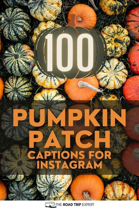 Pumpkin Patch Captions for Instagram Pumpkin Patch Ig Captions, Pumpkin Patch Captions, Halloween Carvings, Patch Quotes, Pumpkin Quotes, Pumpkin Patch Pictures, Best Pumpkin Patches, Fall Activity, Instagram Captions For Friends