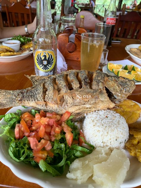 #tilapia #fish served with an #imperial #beer is #puravida in Costa Rica. #cerveza #dinner #lunch #food #salad #rice Costa Rica Food, Angelina Core, Costa Rica Coffee, Costa Rican Food, Tilapia Fish, Food Salad, Puntarenas, Lunch Food, Favorite Meals