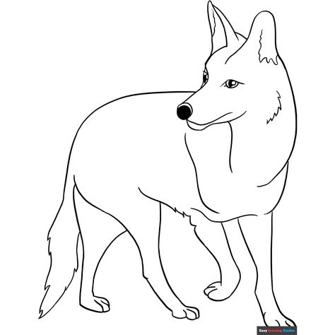 Free Coyote Coloring Page for Kids Coyote Drawing, Totem Animals, Easy Drawing Guides, Free Printable Coloring Sheets, Drawing Guides, Wolf Face, Popular Cartoons, Homeschooling Ideas, Kids Print