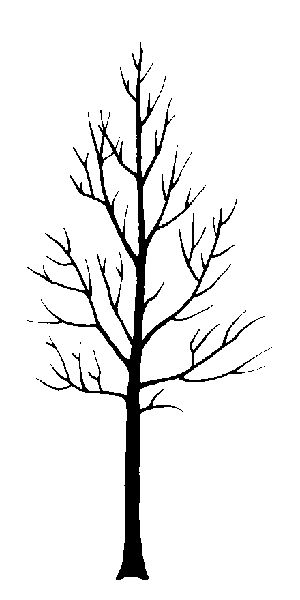 basic tree form Tree Tattoo Ribs, Aspen Tree Tattoo, Aspen Trees Tattoo, Tattoo Ribs, Oak Tree Tattoo, Tree Outline, Aspen Tree, Tree Templates, Tree Of Life Tattoo