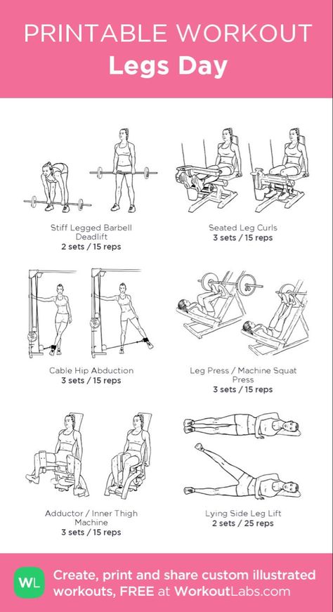 Leg Day Exercises For Women, Toning Leg Workouts For Women Gym, East Leg Workout, Female Leg Workout Exercises, Begginer Legs Workout, What To Do In Gym Workout Plans, Basic Leg Day Workout, Resistance Leg Workout, Workout Schedule Leg Day